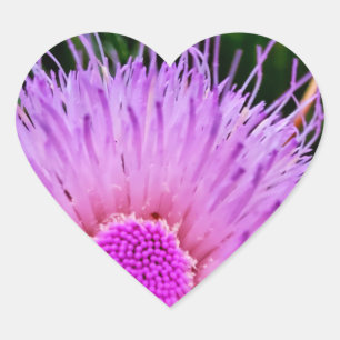 Sticker Cœur Fleur violet et rose