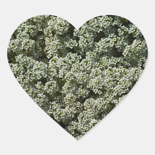 Sticker Cœur Fleurs d'Alyssum doux Floral blanc (Devant)
