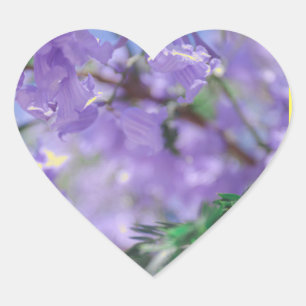Sticker Cœur Fleurs d'arbre pourpres Jacaranda