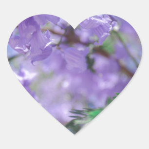 Sticker Cœur Fleurs d'arbre pourpres Jacaranda