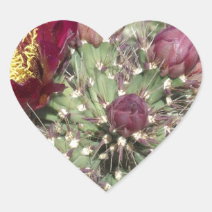 Sticker Cœur Fleurs de cactus bordeaux