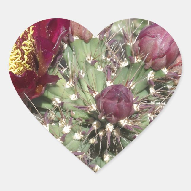 Sticker Cœur Fleurs de cactus bordeaux (Devant)