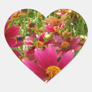 Sticker Cœur Fleurs de marguerite rose et jaune brillantes