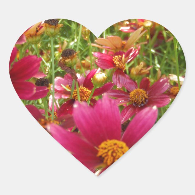 Sticker Cœur Fleurs de marguerite rose et jaune brillantes (Devant)