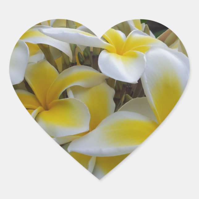 Sticker Cœur Fleurs Hawaii Plumeria (Devant)