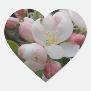Sticker Coeur Fleurs Roses Blanches