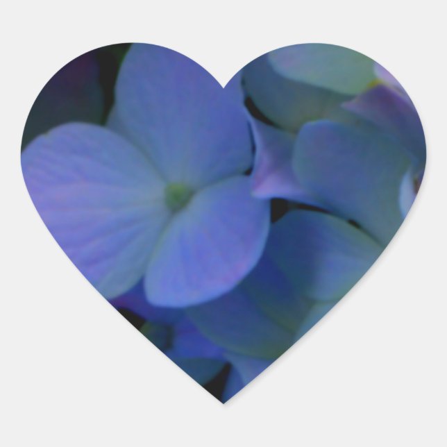 Sticker Cœur Floral de fleurs d'hydrangées bleu pourpre (Devant)