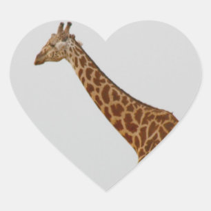 Sticker Cœur Girafe