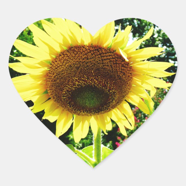 Sticker Cœur Grand tournesol jaune (Devant)