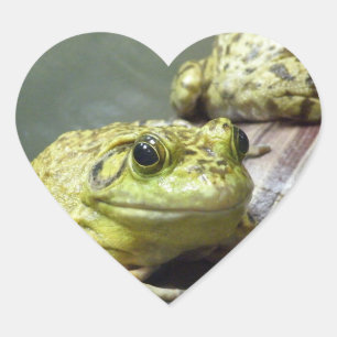 Sticker Cœur Grenouille taureau