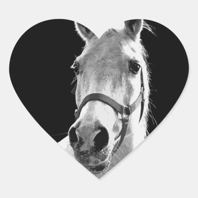 Sticker Cœur Gros plan Cheval blanc noir en nuit (Devant)