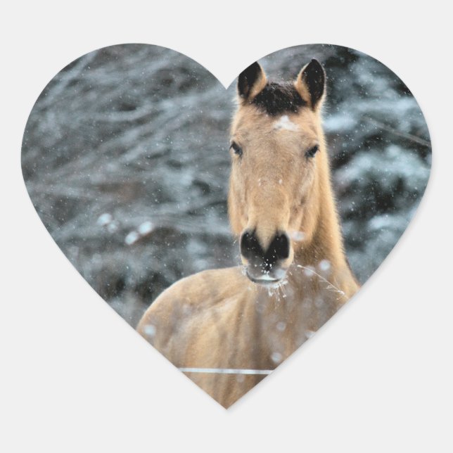 Sticker Cœur Hiver de cheval de peau de daim (Devant)