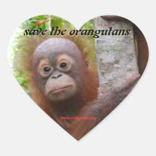 Sticker Cœur Hunt, un nouvel orphelin orangoutan