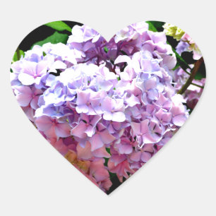 Sticker Cœur Hydrangea garden, rose, bleu, purple floral