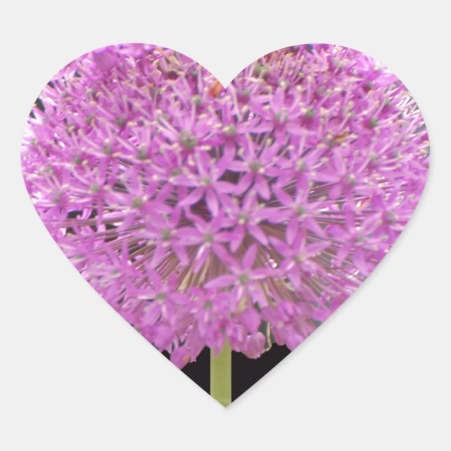 Sticker Cœur Illium Summer Spring Flower - Irish Design (Devant)