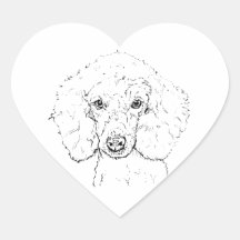 Illustration de chien caniche mignon, dessinée à l