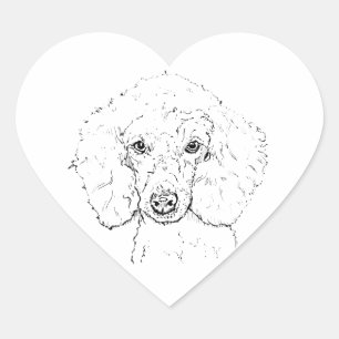Sticker Cœur Illustration de chien caniche mignon, dessinée à l