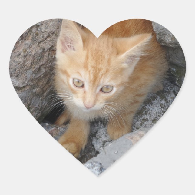 Sticker Coeur Innocent Kitten (Devant)