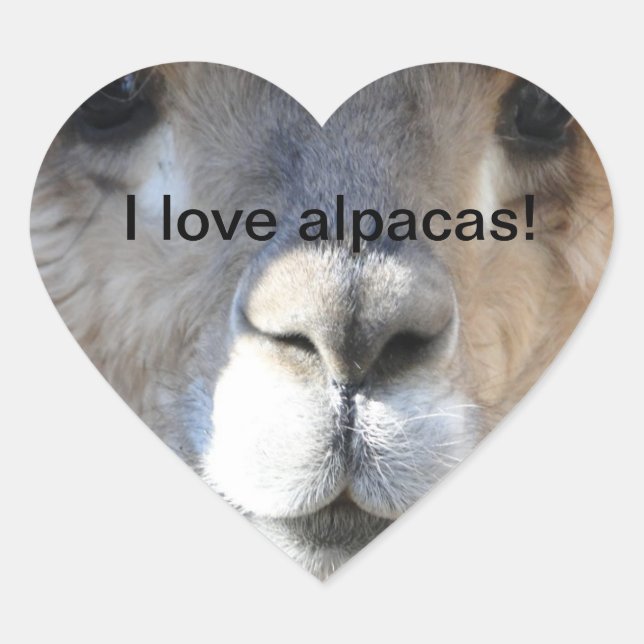 Sticker Cœur J'adore les alpacas ! (Devant)