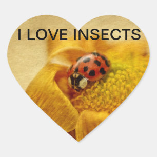 Sticker Cœur J'adore les coccinelles