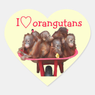 Sticker Cœur J'aime des orangs-outans