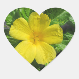 Sticker Cœur Joli Adler Jaune