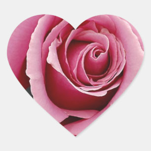 Sticker Cœur Jolie impression de pétales de rose rose