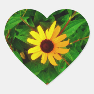 Sticker Cœur Jolie tournesol Susan Black Eyed