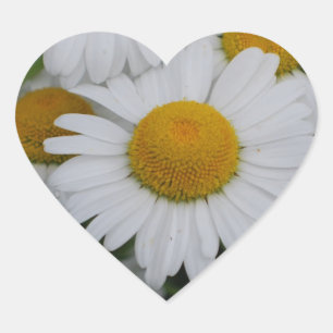 Sticker Cœur Jolies marguerites