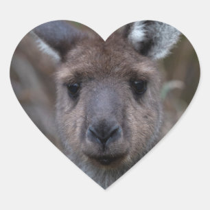 Sticker Cœur Kangaroo Australie