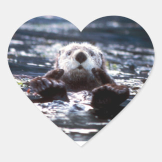 Sticker Cœur La natation de la Louve de mer