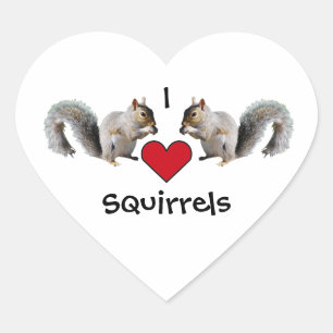 Sticker Cœur L'amour des écureuils