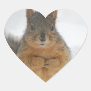 Sticker Cœur L'amour des écureuils