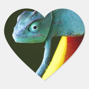 Sticker Cœur Le Chameleon Extraordinaire