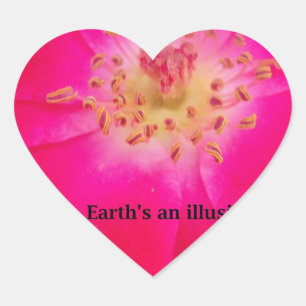 Sticker Cœur Le Rose cosmique : Le design trompeur de la nature