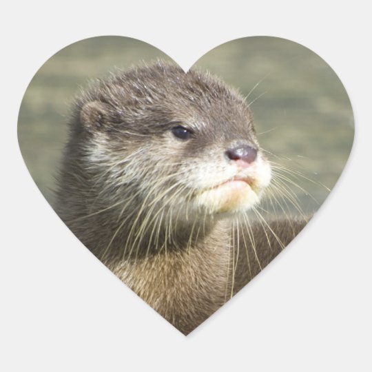 Sticker Cœur Loutre Mignonne De Bebe Zazzle Ch