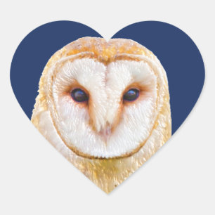 Sticker Cœur Love Heart Barn Owl Bird Animal