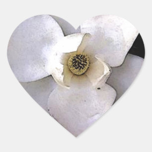 Sticker Cœur Magnolia blanche