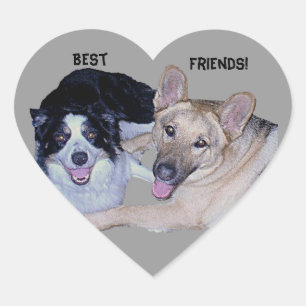 Sticker Cœur Meilleurs amis Bordure Collie & Berger allemand