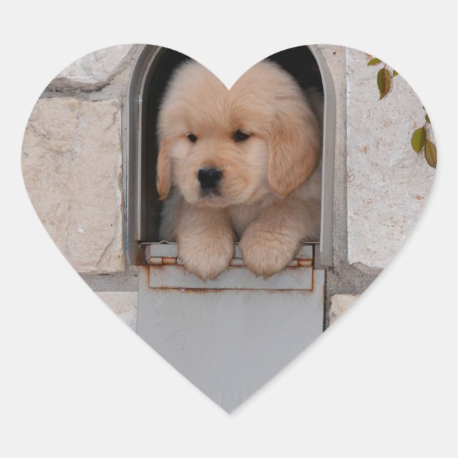Sticker Cœur Messagerie Puppy (Devant)