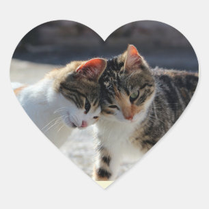 Sticker Cœur Mignon Chat Amour Câlins