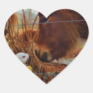 Sticker Cœur Miniature cheval Brown et lapin de Pâques