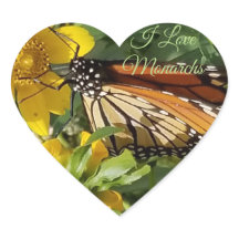 MONARCH BUTTERFLY - BÂTIMENTS
