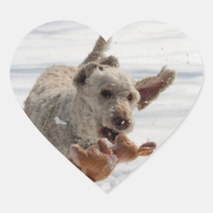 Sticker Cœur Ollie