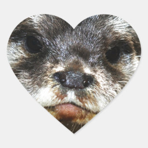 Sticker Cœur Otter