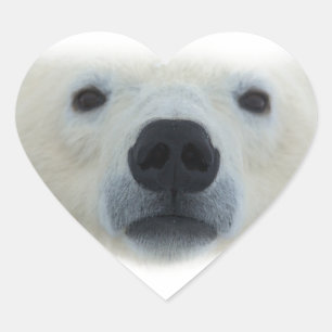 Sticker Cœur Ours polaire