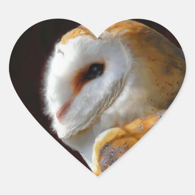 STICKER CŒUR OWLS (Devant)