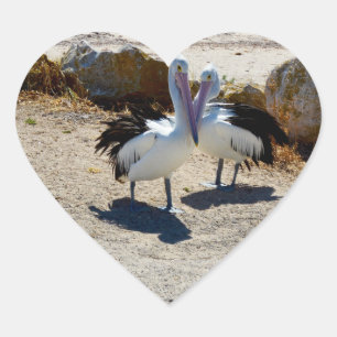 Sticker Cœur Pélicans Amoureux,