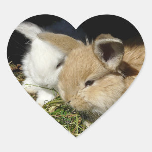 Sticker Cœur Petit lapin moelleux