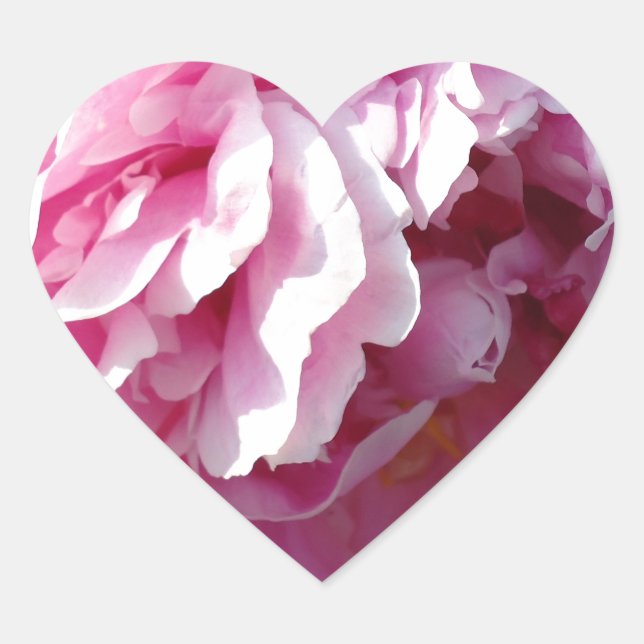 Sticker Cœur Pies roses (Devant)